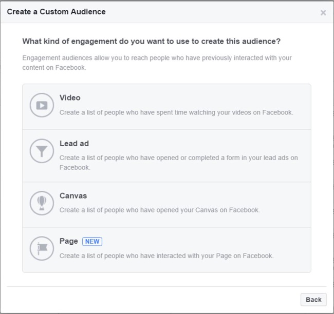 Create a Custom Audience Page Techiflyer