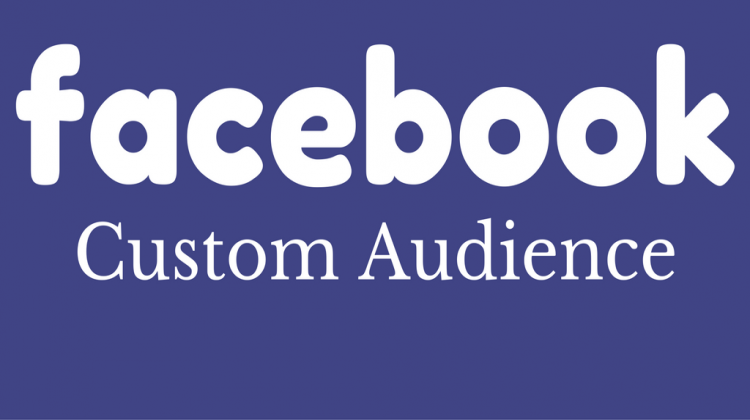 facebook custom audience-Techiflyer